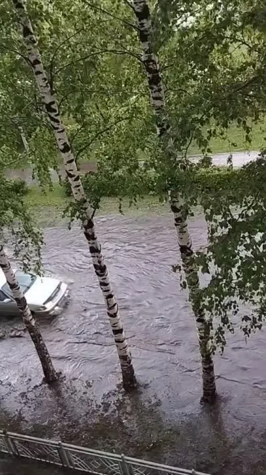 Видео от Типичный Междуреченск Мыски Новости 🅥