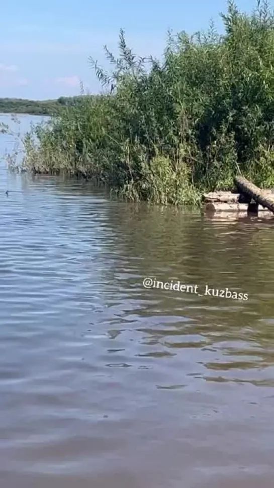 Видео от Типичный Междуреченск Мыски Новости 🅥