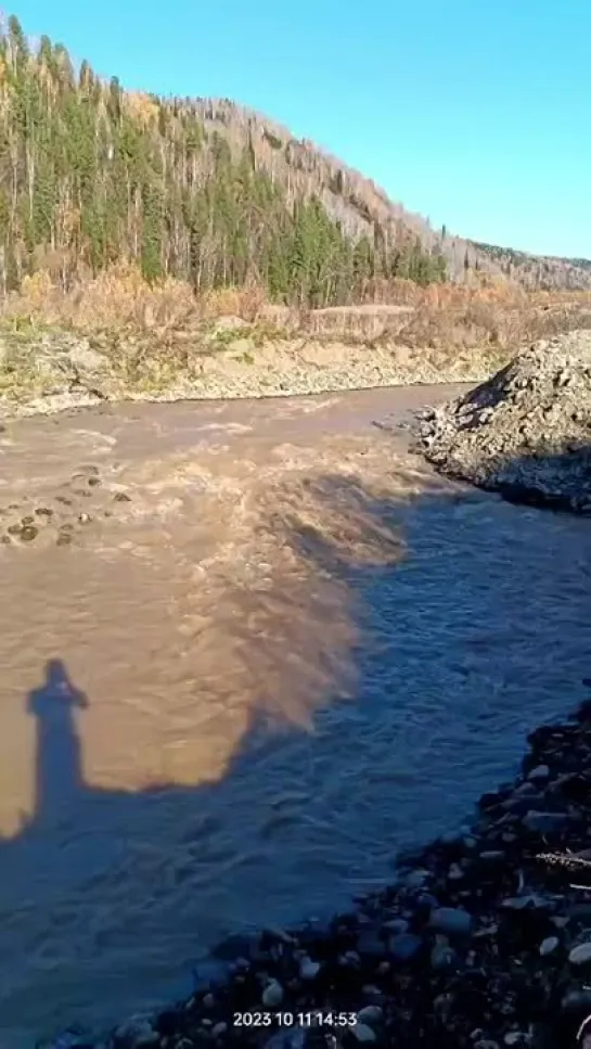 Видео от Типичный Междуреченск Мыски Новости 🅥