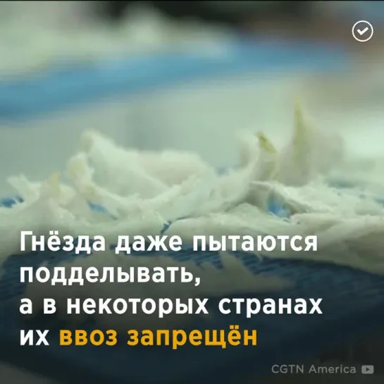 Суп из птичьего гнезда