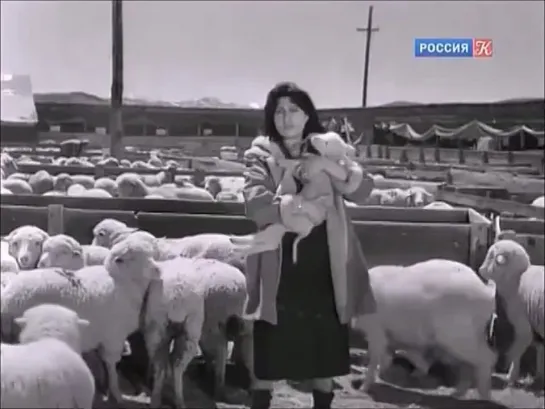 Анна Маньяни в "Дикий ветер" (1957) - Anna Magnani in 'Wild is the Wind'.