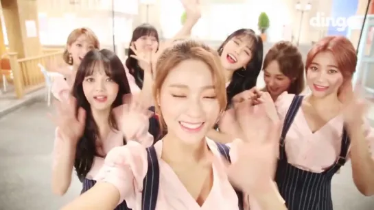 Dingo - Happy New Year from AOA  MV filming site