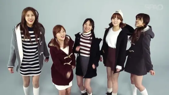 SPAO AOA  EXO