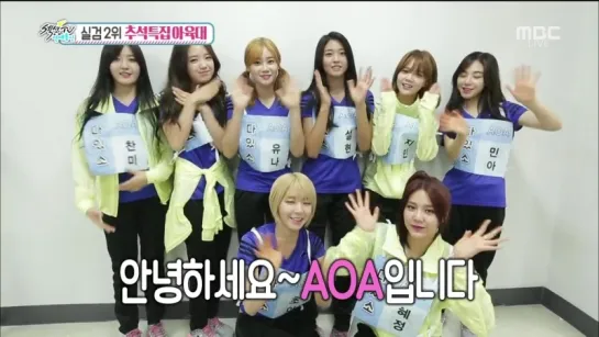 150816 섹션 TV연예통신 아육대 에이오에이(AOA) Cut