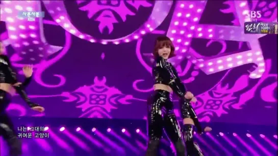 [14.12.2014] AOA - Like A Cat [SBS Inkigayo]