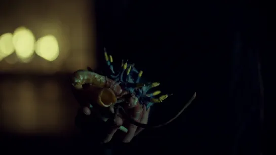 hannibal s02: flowers