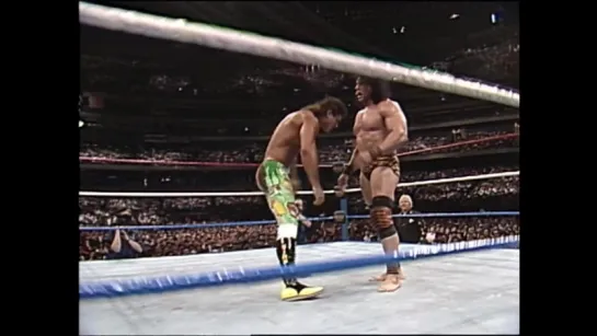 WrestleMania 6 Part 3