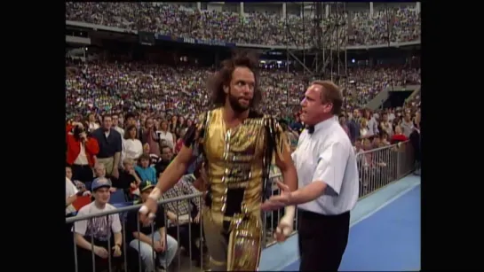 WrestleMania 8 Part 2