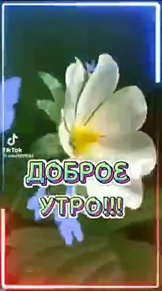 ДОБРОЕ УТРО! ЧУДЕСНОГО ДНЯ!