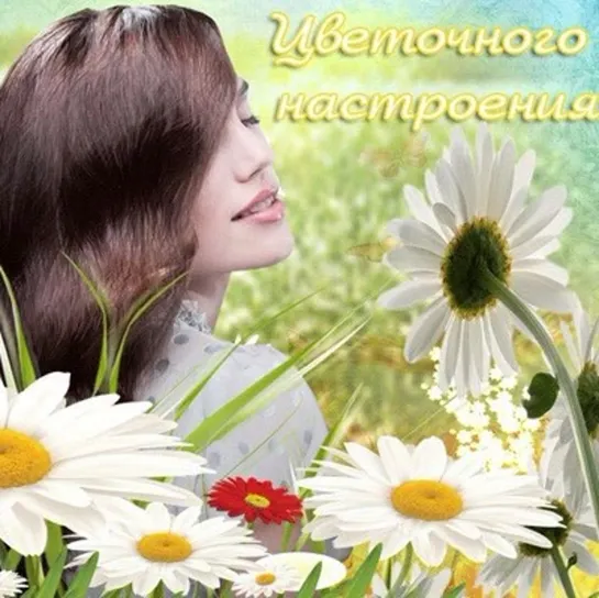 ПОЛЕВЫЕ  ЦВЕТЫ, СОБЕРУ  БУКЕТ.  ПОДАРЮ ТЕБЕ 🌼🐞🌸🦋🌼