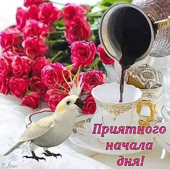 🌸🌺🍃• *¨`* •. ¸🍃ДОБРОЕ☕УТРО🍃• *¨`* •.¸🍃🌺🌸.