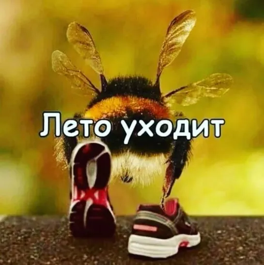 УХОДИТ ЛЕТО ОСЕНЬ К НАМ ИДЕТ