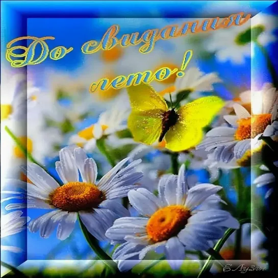 ДО СВИДАНИЯ ЛЕТО 🦋🌼💖🌼🐞  РОМАШКИ   🐞🌼💖🌼🦋  ЛЮБЛЮ Я ЛЕТО