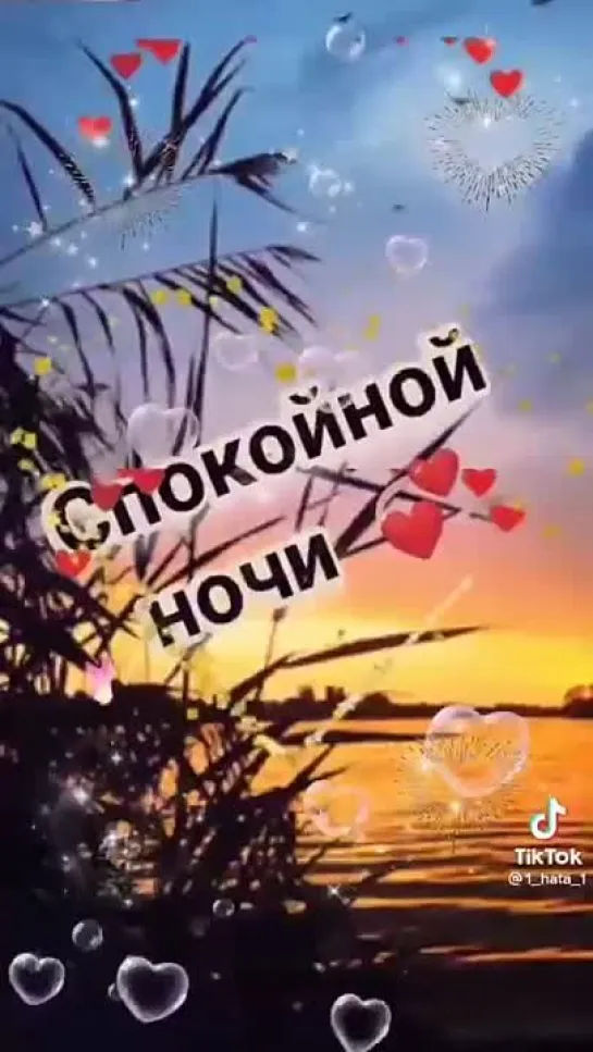 СПОКОЙНОЙ НОЧИ!