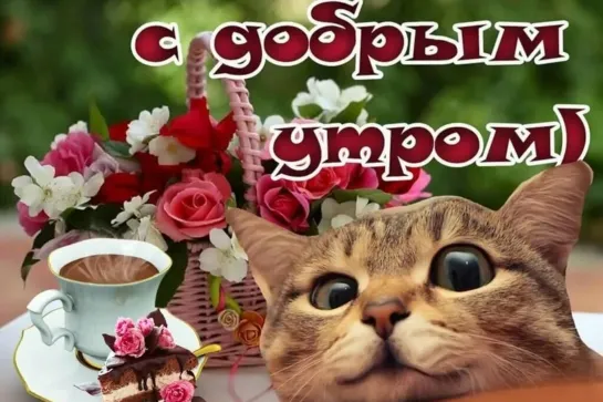 ПРИВЕТ ПОНЕДЕЛЬНИК! УДАЧНОЙ НЕДЕЛИ!☕💖🌞 ✨💖 С Добрым утром! 💖 ХОРОШИМ ДНЕМ 🌞☕ 🍓