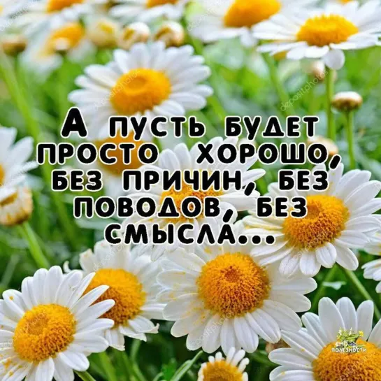 ЦВЕТЫ