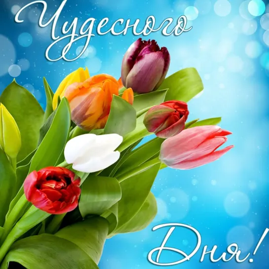 УТРА ДОБРОГО! ☕💖🌞 УДАЧНОГО ДНЯ! ✨🌹🌞