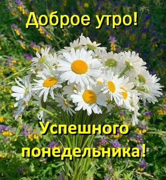 ♫❤ ♪ ◕‿◕ ●💖 С ПОНЕДЕЛЬНИКОМ ♫❤ ♪ ◕‿◕ ●💖