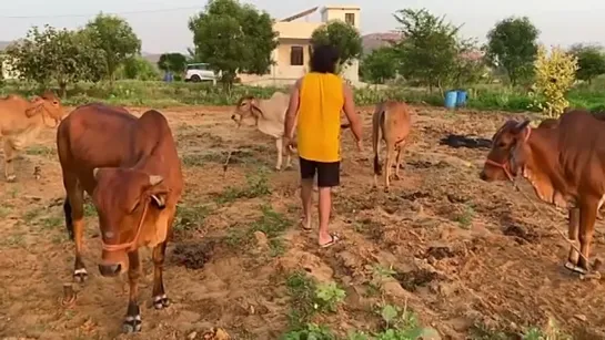 Видео от Татьяны Журавлевой