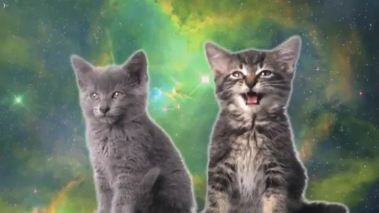 Space Cats - Magic Fly.