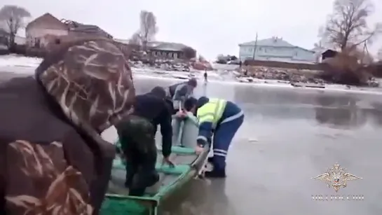 В Вологодской области полицейские спасли тонувшего в ледяной воде ребенка