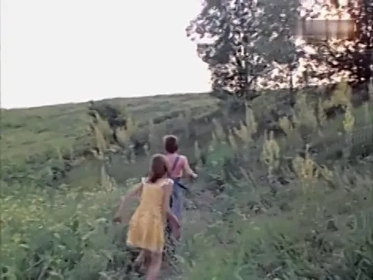 к/ф "Каждый охотник желает знать" (1985).