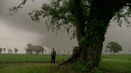 true detective : landscape