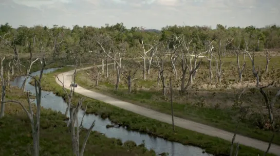 true detective : landscape