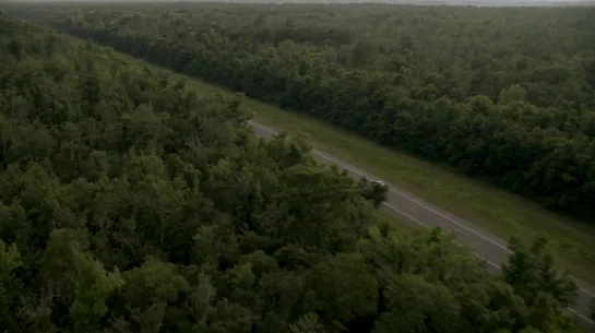 true detective  : landscape