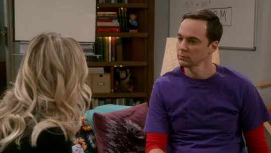 the big bang theory 11х13 теория струн и отношения