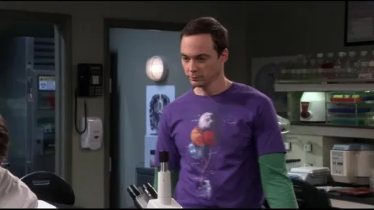 the big bang theory 10х08 молодые родители