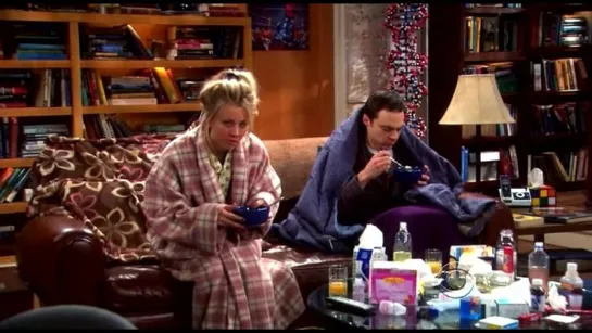 the big bang theory 3х15 больные Шелдон и Пэнни