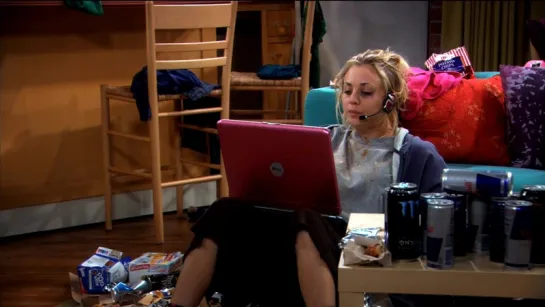 the big bang theory 2х03 problems