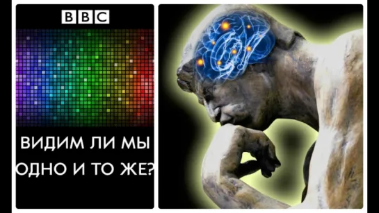 BBC. Видим ли мы одно и то же?