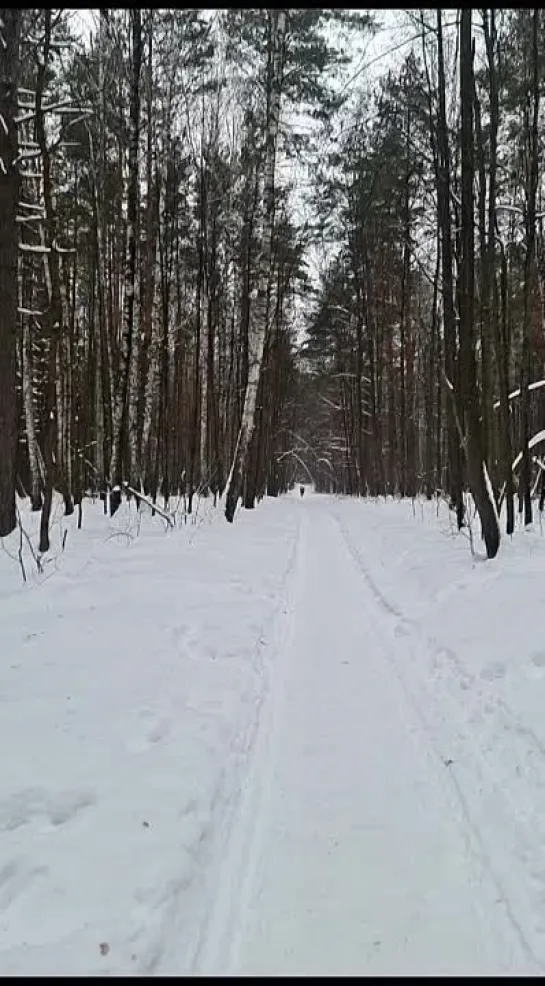 Видео от Дмитрия Копейкина