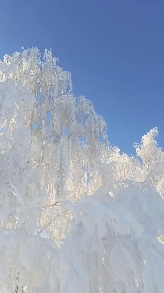 Видео от Венеры Захаровой