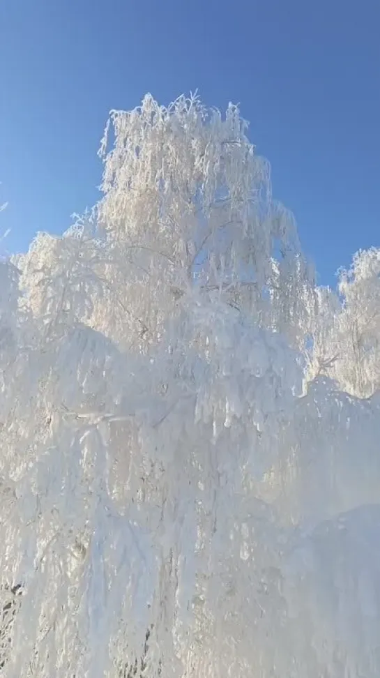 Видео от Венеры Захаровой