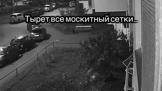 Видео от ▇▇ Нижнекамск Вконтакте ▇▇