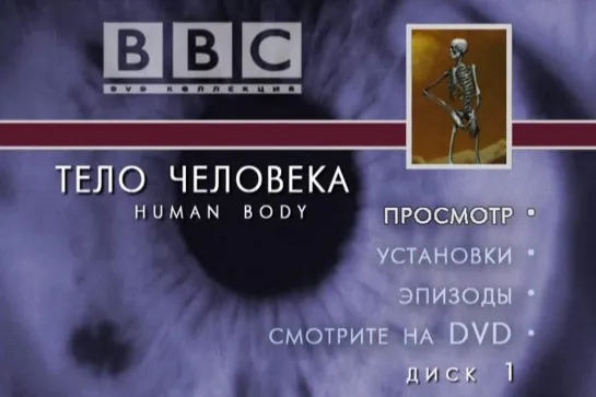 BBC(Тело человека часть 2)