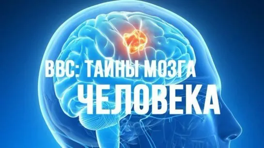 BBC: Тайны мозга (BBC: Brain Story). #5