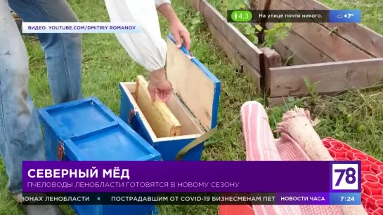 Медовый сезон в "Полезном утре"