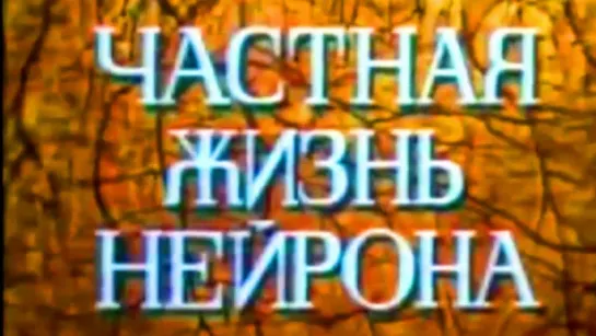 “Частная жизнь нейрона“ 1987 г.