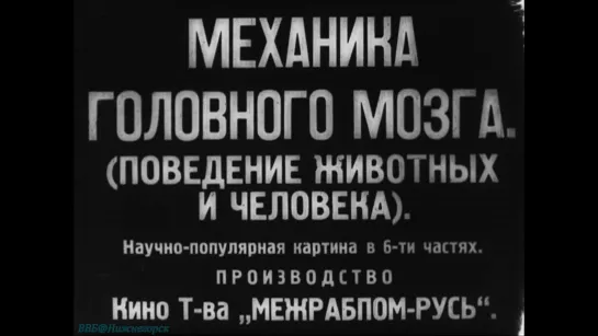 «Механика головного мозга: Поведение животных и человека» (Научно-популярный, исследования, немое кино, 1926)