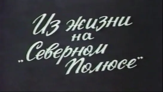 Из жизни на «Северном полюсе» / 1987 / ЦСДФ