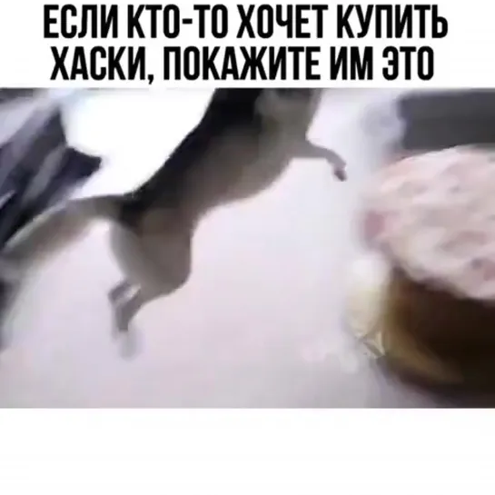 А вы думали как будет?)