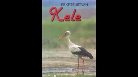 Fekete István   Kele  - Rádiójáték