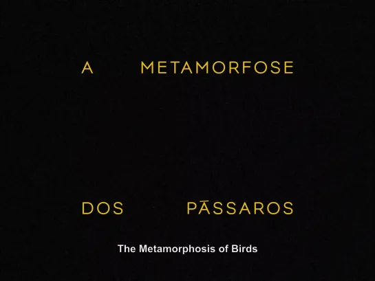 The Metamorphosis of Birds / A Metamorfose dos Pássaros (2020) dir. Catarina Vasconcelos