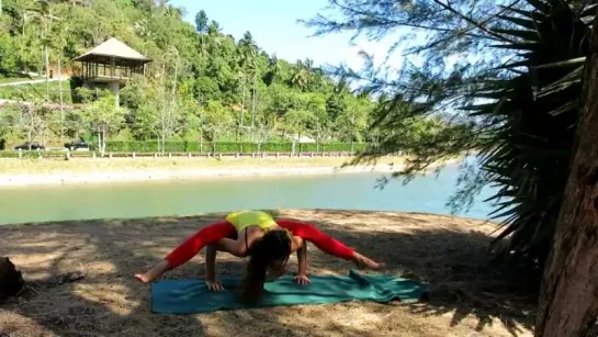 Titibhasana. Firefly pose