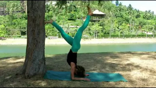 Pincha Mayurasana. Forearm balance