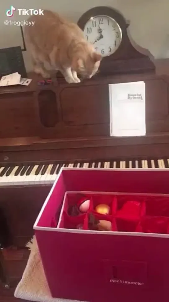 PianoCat